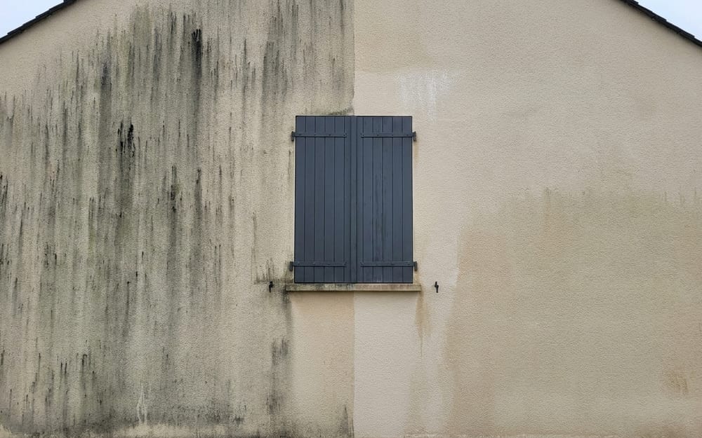 Façade en crépi beige dont la moitié gauche est couverte de coulures d'algues noires et la moitié droite nettoyée